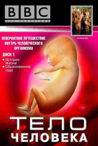BBC: Тело человека (1998) онлайн бесплатно